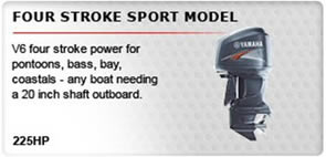 4 Stroke Sport Model